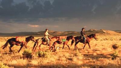 Politik und Gesellschaft: Reiten ins Abenteuer - Mit vier Mustangs durch den Wilden Westen