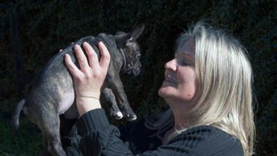 Politik und Gesellschaft: Auf den Hund gekommen - der Vorarlberger zweitliebstes Haustier