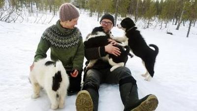 Politik und Gesellschaft: Finnland - Winter im hohen Norden Politik und Gesellschaft: Finnland - Winter im hohen Norden