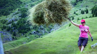 Politik und Gesellschaft: Bergbäuerinnen in Südtirol - Von Tradition und Zukunft