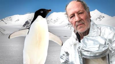 Pop Secret Stories: Werner Herzogs Pinguin wird zum Social-Hype