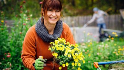 Querbeet: Blumenernte und Bio-Schnittblumen aus Bayern