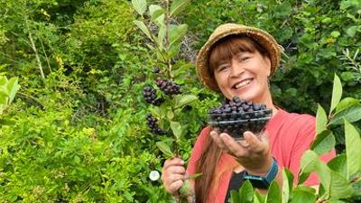 Querbeet: Aroniabeeren und Zwiebeln ernten