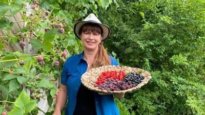 Querbeet: Bambusgerüst für Himbeeren