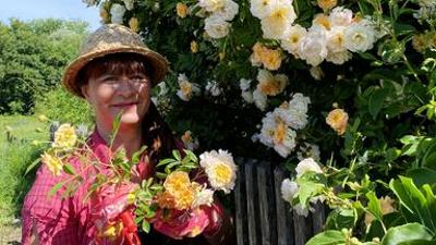 Querbeet: Deko-Idee mit Rosen