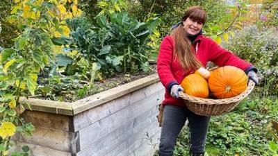 Querbeet: Bunte Ernte im Querbeet-Garten