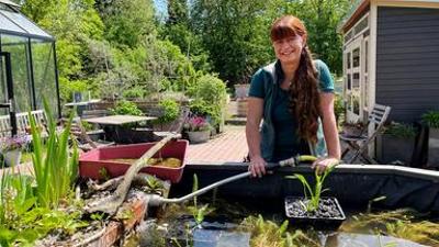 Querbeet: Mini-Teich pflegen