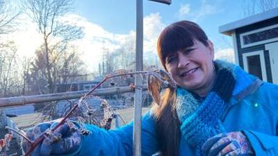 Querbeet: Beerensträucher zurückschneiden