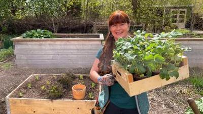 Querbeet: Genusspflanze des Jahres