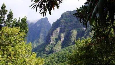 Reise: Madeira - Smaragd im Atlantik