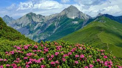 Reise: Erlebnisreisen: Osttirol - Ursprünglich und unentdeckt
