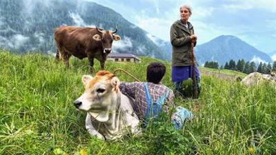 Reise: Von Südtirol an den Gardasee