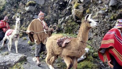 Reise: Die letzten Nomaden