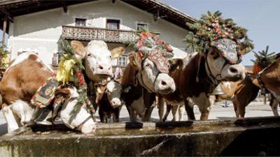Reise: Sommerreise durchs Alpbachtal