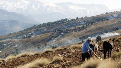 Reise: Wildes Marokko – Der grüne Norden
