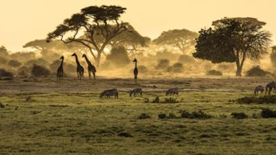Reise: Namibia – Wilde Tiere, Meer und Wüste