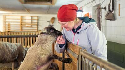 Reporter: Landwirtschaft trotz allem (2)