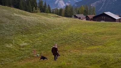 Schweizer Hundegeschichten: Lilo, Lilly und die Laufhunde