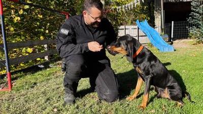 Schweizer Hundegeschichten: (2)