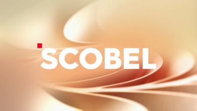 scobel: Lebensraum Boden