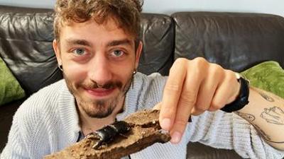 Sehen statt Hören: Jason beim Insektenforscher Sehen statt Hören: Jason beim Insektenforscher
