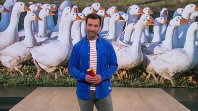 Servicezeit: Vogelgrippe