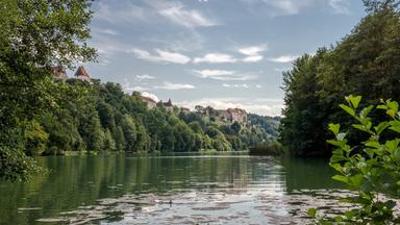 sonntags: Entdeckungen in der Natur