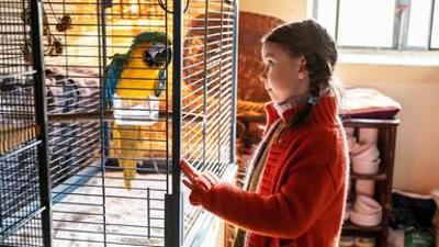 Spielfilm: Kommt ein Vogel geflogen