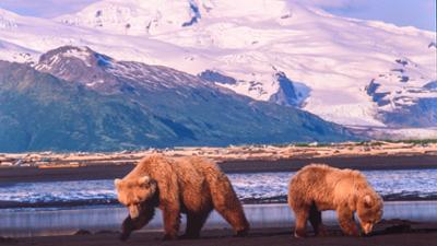 Terra X: Kielings wilde Welt (1/3)