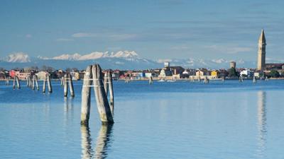 Tiere: Wildes Venedig