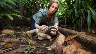 Tiere: Das Überleben der Langsamsten