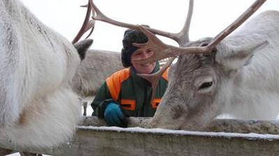 Tiere: Nordische Tiergeschichten