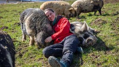 Tiere: Eine Zuflucht für Tiere - Gut Aiderbichl