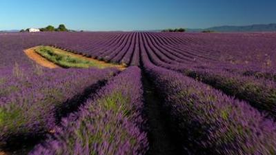 Traumorte: Die Provence