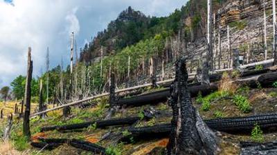 UNKRAUT: Nationalparks – Brandherde und Naturparadiese?