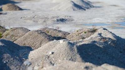 UNKRAUT: Stein statt Baum: Wie viel Natur zerstören wir für den Kiesabbau?