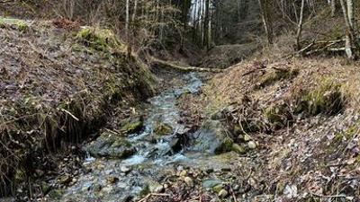 UNKRAUT: Wem gehört unser Wasser?