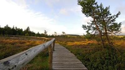 UNKRAUT: Pioniere in Gummistiefeln – Moorschutz mit der Landwirtschaft UNKRAUT: Pioniere in Gummistiefeln – Moorschutz mit der Landwirtschaft