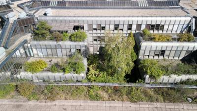 Verborgene Gärten von Wien: (1/2)