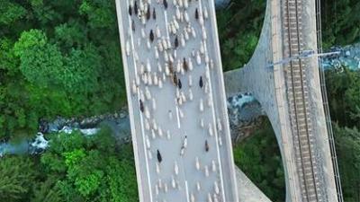 Wilder Rhein: Vom Pass ins Tal