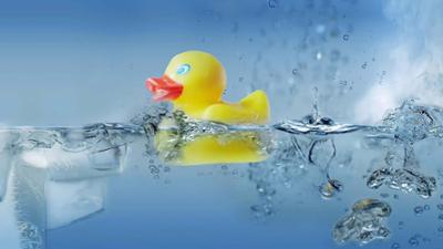 42 - Die Antwort auf fast alles: Wie schafft Wasser Leben? - 42 - Die Antwort auf fast alles