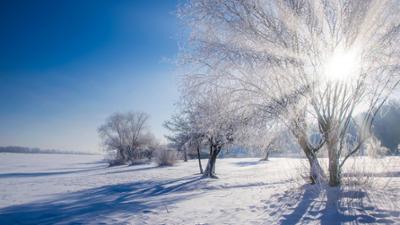 aktiv und gesund: Licht gegen Winter-Blues, Fermentierte Getränke, Laufen im Winter