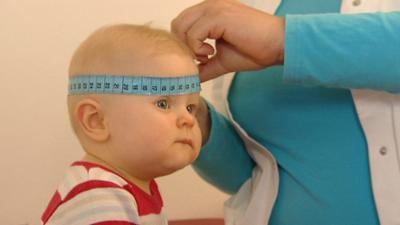 Alles wächst, aber wie?