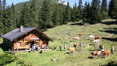 Almleben am Untersberg - Nutzen und Zauber: Almleben am Untersberg · Nutzen und Zauber