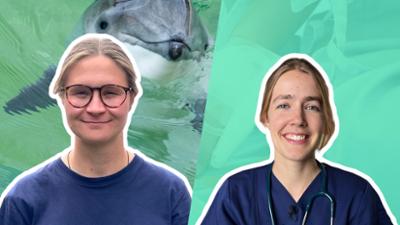 alpha Uni: Job: Kinderärztin, Meeresbiologin