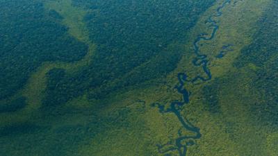 alpha-demokratie: Amazonas