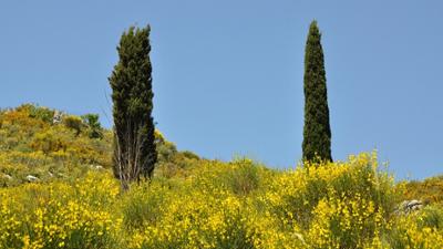 alpha-doku: Mit dem Rad auf Kreta