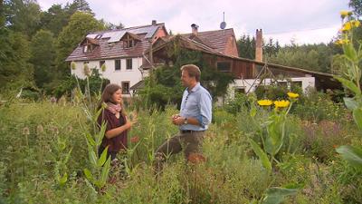 alpha-doku: Wilde Tiere, tolle Touren · Täler im Pfälzerwald