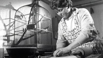 alpha-retro: Weihnachtszeit in Bayern: Weihnachtszeit in Bayern (1962)