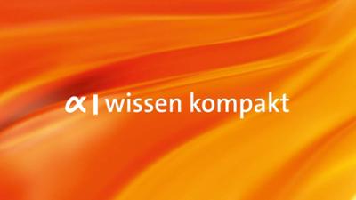 alpha-wissen kompakt: Ein Stern kommt selten allein!